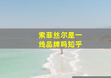 索菲丝尔是一线品牌吗知乎