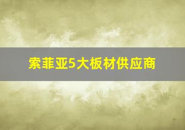 索菲亚5大板材供应商