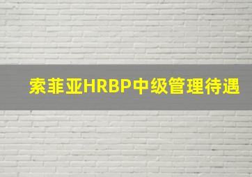 索菲亚HRBP中级管理待遇