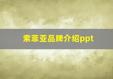 索菲亚品牌介绍ppt