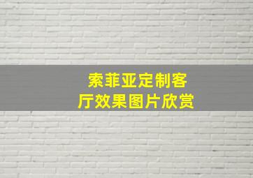 索菲亚定制客厅效果图片欣赏