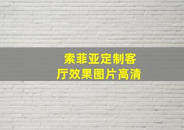 索菲亚定制客厅效果图片高清