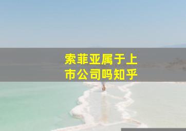 索菲亚属于上市公司吗知乎