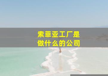 索菲亚工厂是做什么的公司