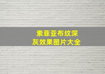 索菲亚布纹深灰效果图片大全