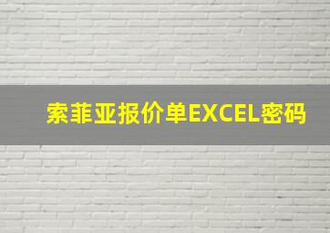 索菲亚报价单EXCEL密码