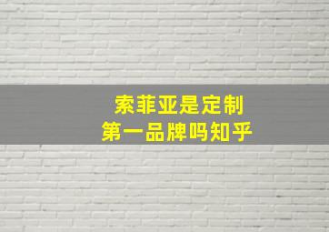 索菲亚是定制第一品牌吗知乎