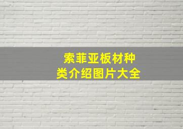 索菲亚板材种类介绍图片大全