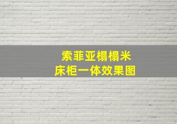 索菲亚榻榻米床柜一体效果图