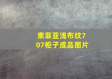 索菲亚浅布纹707柜子成品图片