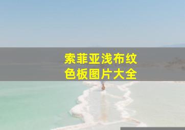 索菲亚浅布纹色板图片大全