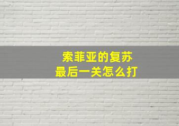 索菲亚的复苏最后一关怎么打