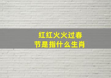 红红火火过春节是指什么生肖