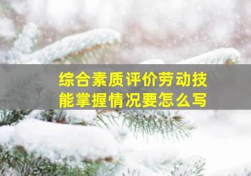 综合素质评价劳动技能掌握情况要怎么写