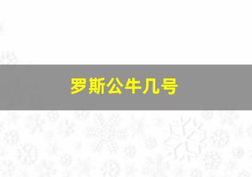 罗斯公牛几号