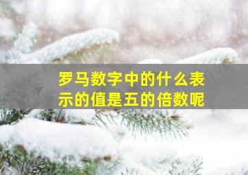 罗马数字中的什么表示的值是五的倍数呢