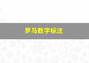 罗马数字标注