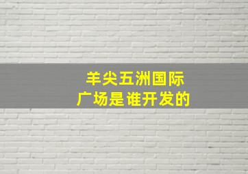 羊尖五洲国际广场是谁开发的