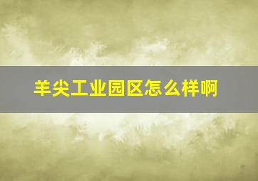 羊尖工业园区怎么样啊