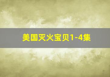 美国灭火宝贝1-4集