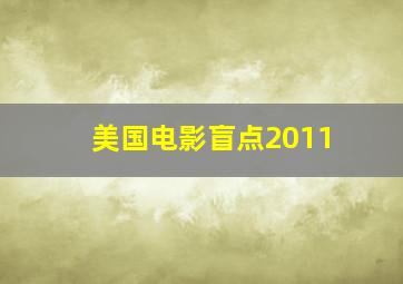 美国电影盲点2011