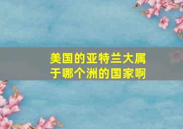 美国的亚特兰大属于哪个洲的国家啊