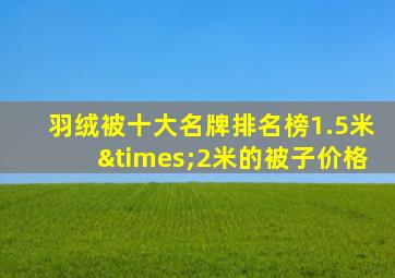 羽绒被十大名牌排名榜1.5米×2米的被子价格