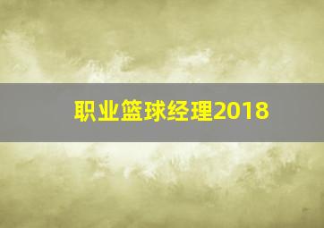 职业篮球经理2018