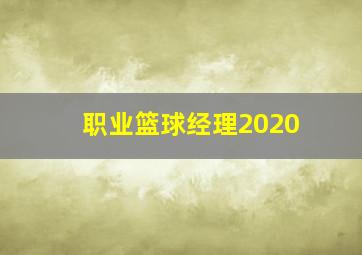 职业篮球经理2020