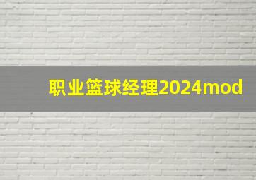 职业篮球经理2024mod