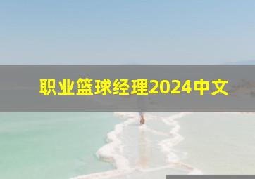 职业篮球经理2024中文