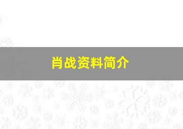 肖战资料简介