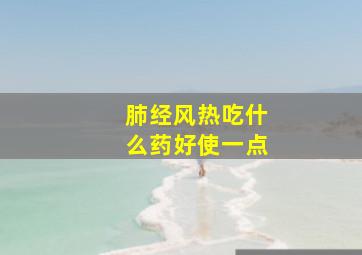 肺经风热吃什么药好使一点