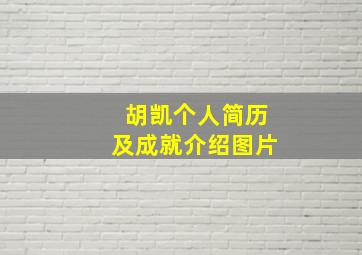 胡凯个人简历及成就介绍图片