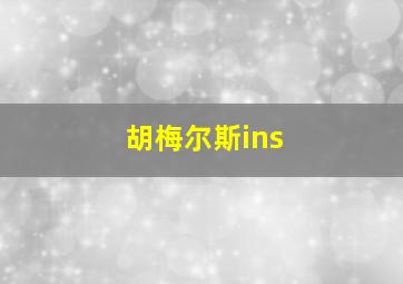 胡梅尔斯ins