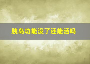 胰岛功能没了还能活吗