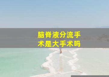 脑脊液分流手术是大手术吗