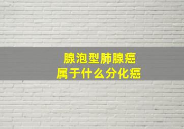 腺泡型肺腺癌属于什么分化癌