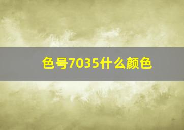 色号7035什么颜色