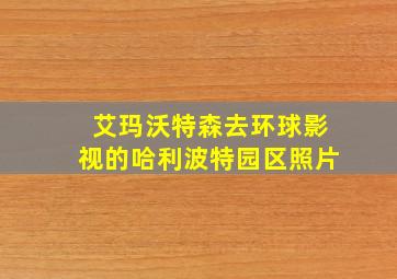 艾玛沃特森去环球影视的哈利波特园区照片