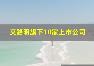 艾路明旗下10家上市公司