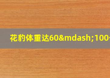 花豹体重达60—100公斤