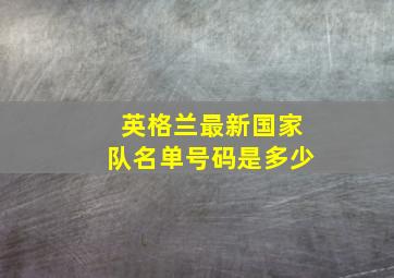 英格兰最新国家队名单号码是多少