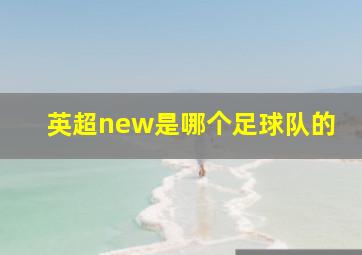 英超new是哪个足球队的