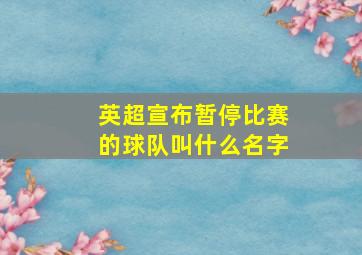 英超宣布暂停比赛的球队叫什么名字