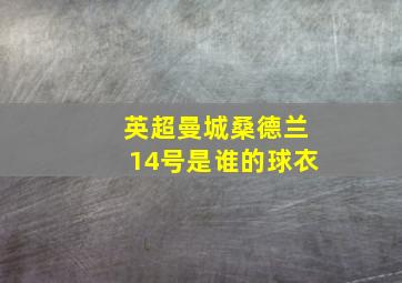 英超曼城桑德兰14号是谁的球衣