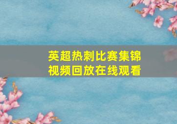 英超热刺比赛集锦视频回放在线观看