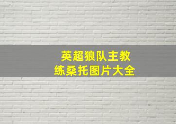 英超狼队主教练桑托图片大全