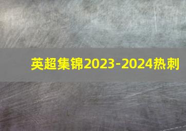 英超集锦2023-2024热刺