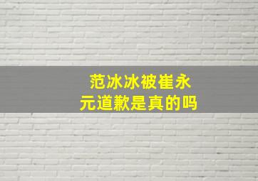 范冰冰被崔永元道歉是真的吗